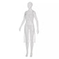 A white mannequin displays the AMPri disposable aprons light, white, 75 x 125 cm (bag of 100 pieces), a transparent, sleeveless disposable apron, ideal for hygiene and food processing, against a plain white background.