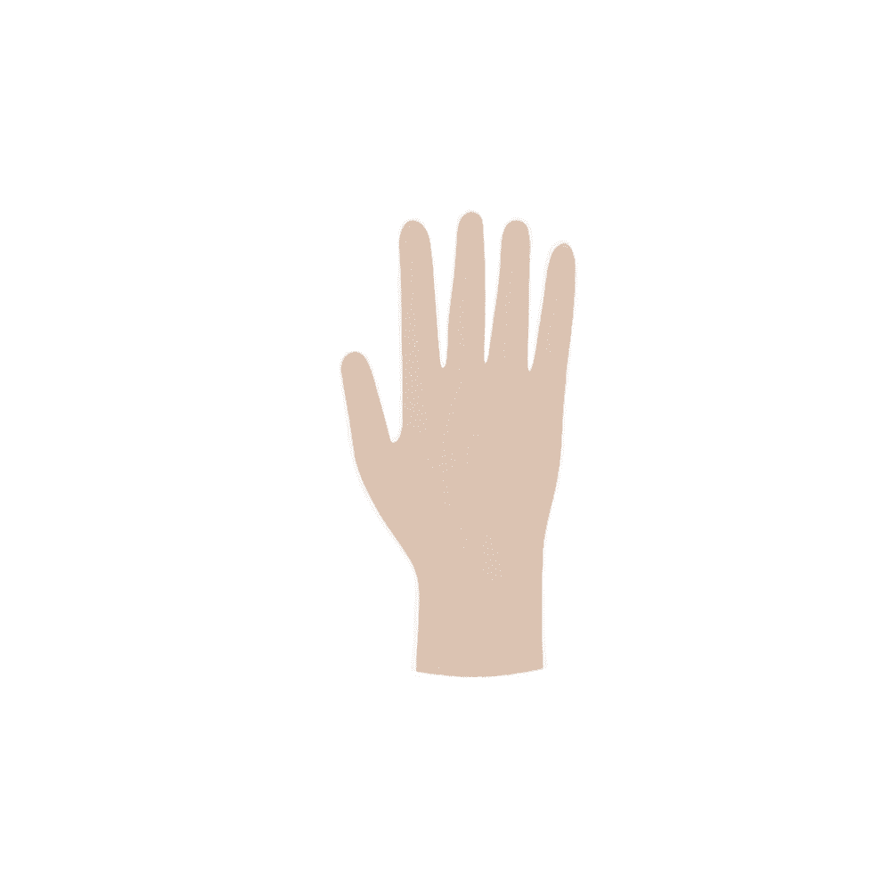 Illustration of a human hand in a neutral position with fingers extended, depicted in a flat graphic style with sterile Meditrade Copolymed® disposable gloves.