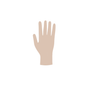 Illustration of a human hand in a neutral position with fingers extended, depicted in a flat graphic style with sterile Meditrade Copolymed® disposable gloves.