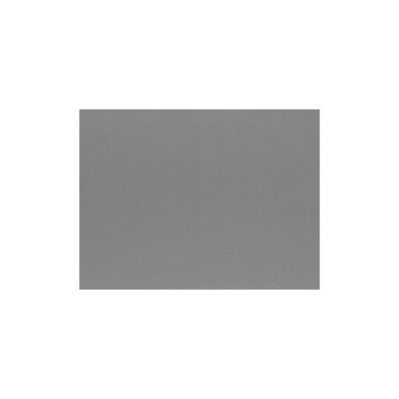 A simple, plain gray PAPSTAR 100 paper placemat (30 x 40 cm) from PAPSTAR GmbH stands centered on a white background and has no patterns, textures, or special features.
