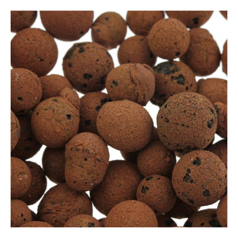 The Plagron Europebbles from Bertels B.V. are brown, round clay balls with a porous surface, perfect for hydroponic systems. They have small dark spots, vary in size, and are densely packed, giving them a textured appearance.