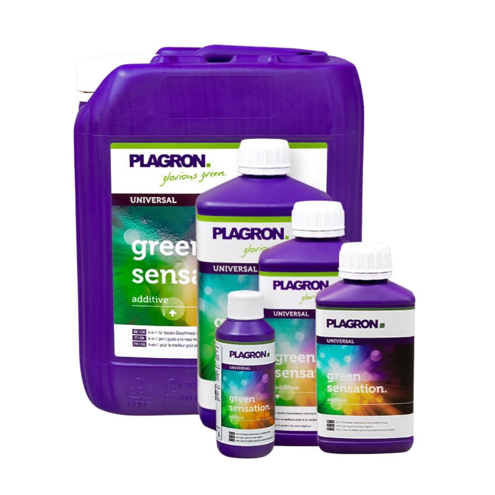 Five Plagron Green Sensation bottles from Bertels B.V. in various sizes enhance plant quality. The purple bottles with white caps and green-white labels improve harvest quality, with the largest one at the back.