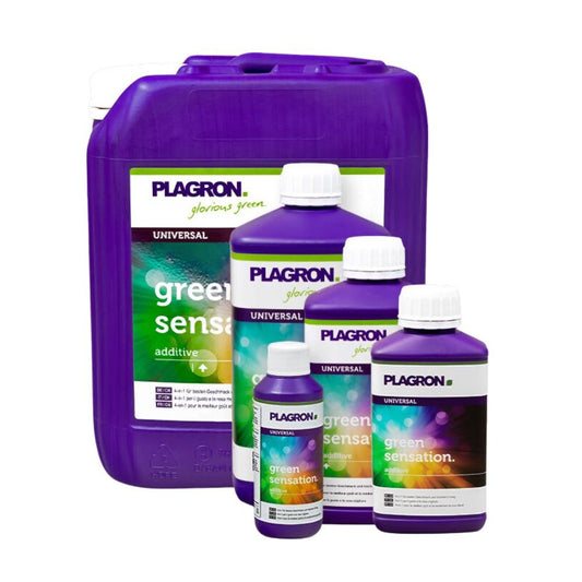 Five Plagron Green Sensation bottles from Bertels B.V. in various sizes enhance plant quality. The purple bottles with white caps and green-white labels improve harvest quality, with the largest one at the back.