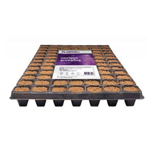 The Plagron NextGen Growplug from Bertels B.V. features 84 compartments filled with soil, enriched with coconut fibers for better root formation. It has a grid design that is ideal for planting and is equipped with a striking product information label on the surface.