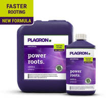 Image of two Plagron Power Roots containers from Bertels B.V.: a large square and a smaller bottle, both purple. The labels emphasize "faster root development" with a "new formula" featuring humic acids in bright yellow and purple.