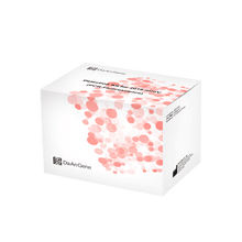 On a green background, there is a white packaging box for the "Detection Set (PCR-Fluorescence) DaAn Gene Diagnostics Kit for 2019-ncov" with 96 tests, adorned with the inscription "Altruan".