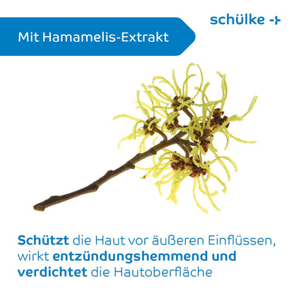 On a white background, a branch of witch hazel with yellow flowers is depicted. The text reads "With witch hazel extract" and describes in German the skin-protecting benefits, including the alleviation of skin irritations. On the packaging of the Schülke sensiva® Protective Cream, "Schülke & Mayr GmbH" is shown in blue lettering.